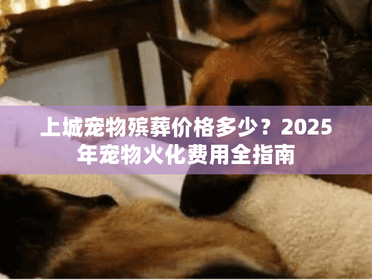 上城宠物殡葬价格多少？2025年宠物火化费用全指南