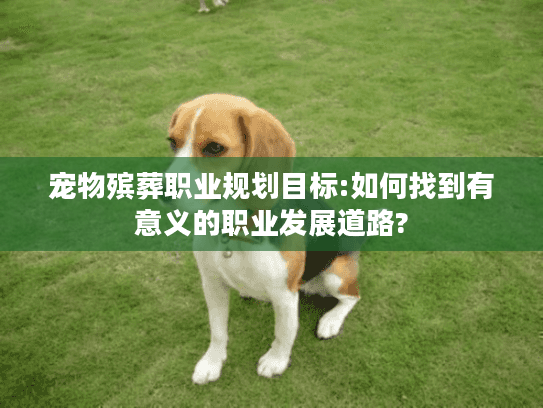 宠物殡葬职业规划目标:如何找到有意义的职业发展道路?