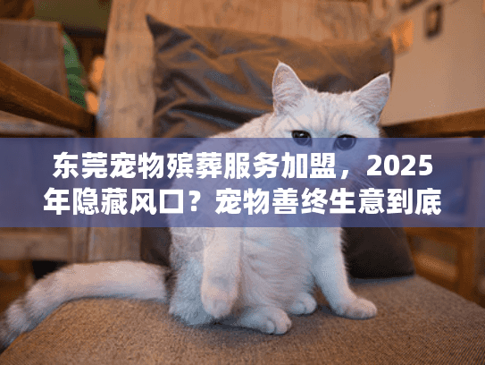 东莞宠物殡葬服务加盟,2025年隐藏风口?宠物善终生意到底有多赚钱? 东莞宠物殡葬服务加盟,2025年隐藏风口?宠物善终生意到底有多赚钱?