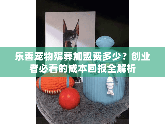 乐善宠物殡葬加盟费多少？创业者必看的成本回报全解析