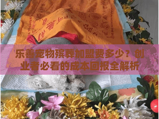 乐善宠物殡葬加盟费多少？创业者必看的成本回报全解析