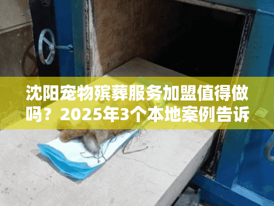 沈阳宠物殡葬服务加盟值得做吗？2025年3个本地案例告诉你答案