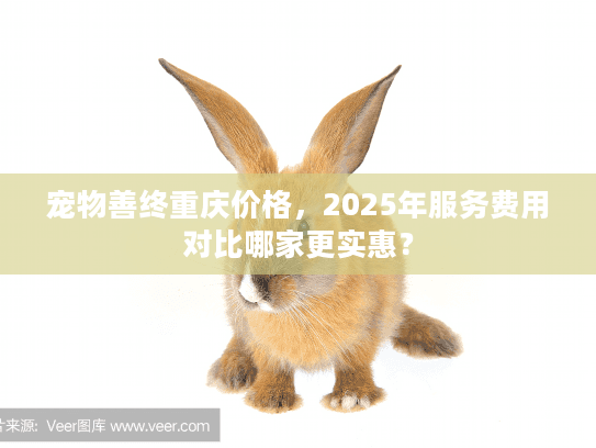 宠物善终重庆价格，2025年服务费用对比哪家更实惠？