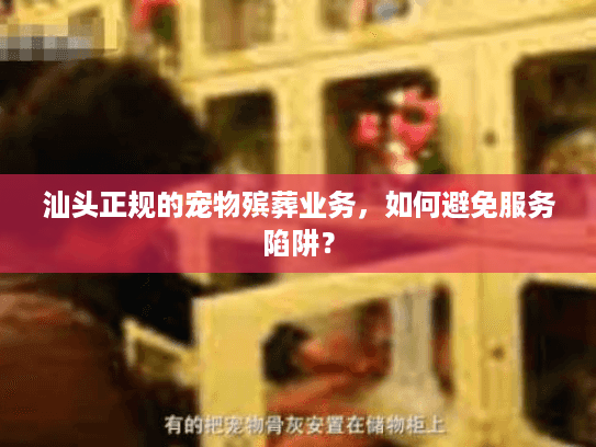 汕头正规的宠物殡葬业务，如何避免服务陷阱？