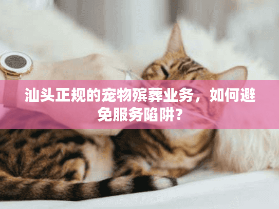 汕头正规的宠物殡葬业务，如何避免服务陷阱？
