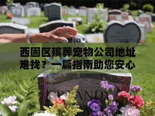 西固区殡葬宠物公司地址难找？一篇指南助您安心告别爱宠