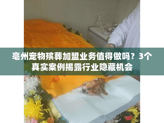 亳州宠物殡葬加盟业务值得做吗？3个真实案例揭露行业隐藏机会