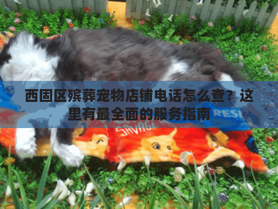 西固区殡葬宠物店铺电话怎么查？这里有最全面的服务指南