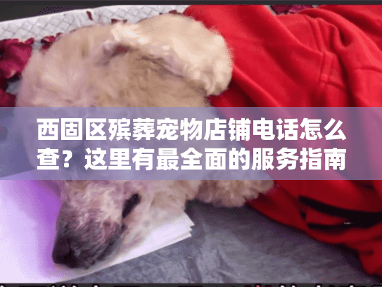 西固区殡葬宠物店铺电话怎么查？这里有最全面的服务指南
