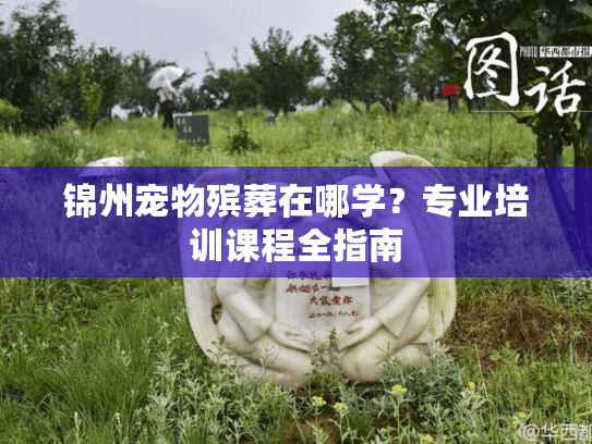 锦州宠物殡葬在哪学？专业培训课程全指南