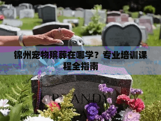 锦州宠物殡葬在哪学？专业培训课程全指南
