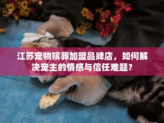 江苏宠物殡葬加盟品牌店，如何解决宠主的情感与信任难题？