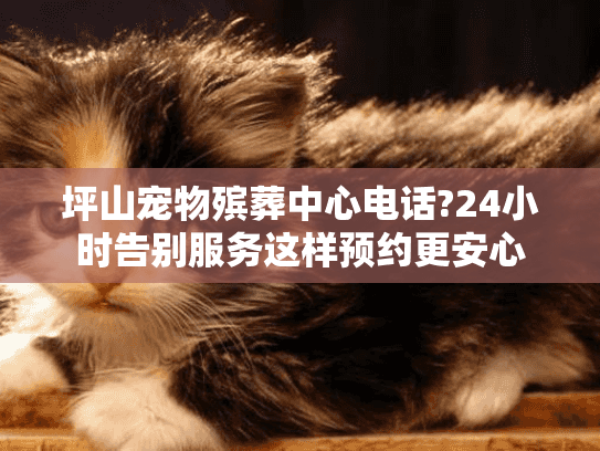 坪山宠物殡葬中心电话?24小时告别服务这样预约更安心