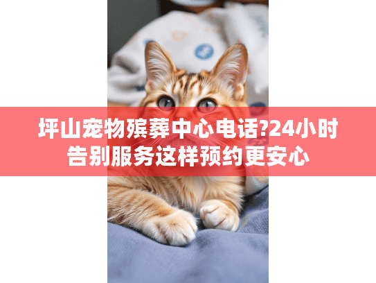 坪山宠物殡葬中心电话?24小时告别服务这样预约更安心