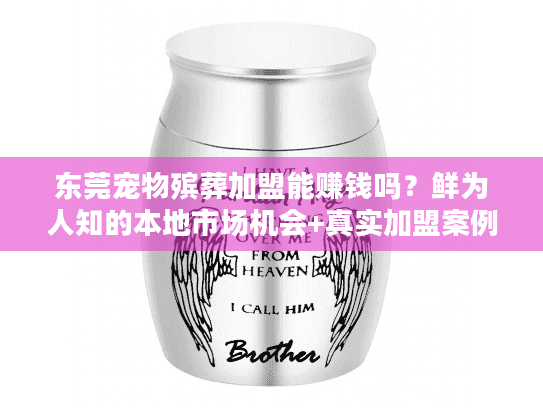 东莞宠物殡葬加盟能赚钱吗？鲜为人知的本地市场机会+真实加盟案例拆解