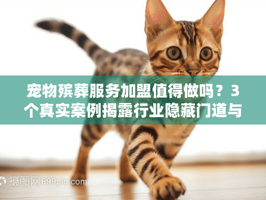 宠物殡葬服务加盟值得做吗？3个真实案例揭露行业隐藏门道与盈利真相