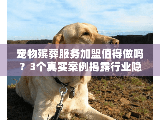 宠物殡葬服务加盟值得做吗？3个真实案例揭露行业隐藏门道与盈利真相