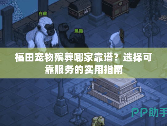 福田宠物殡葬哪家靠谱？选择可靠服务的实用指南