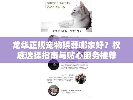 龙华正规宠物殡葬哪家好？权威选择指南与贴心服务推荐