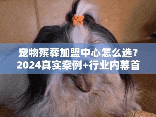 宠物殡葬加盟中心怎么选？2024真实案例+行业内幕首次揭秘（新手必看）