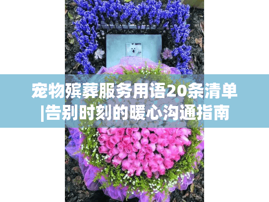 宠物殡葬服务用语20条清单|告别时刻的暖心沟通指南