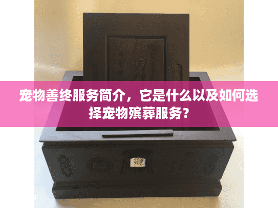 宠物善终服务简介，它是什么以及如何选择宠物殡葬服务？