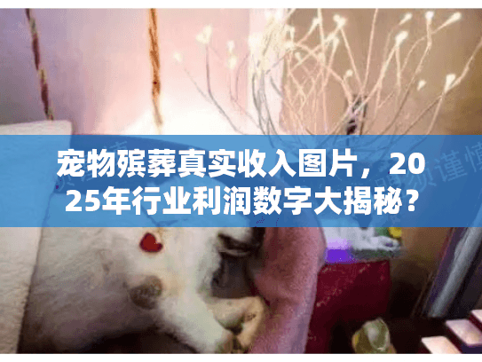 宠物殡葬真实收入图片，2025年行业利润数字大揭秘？