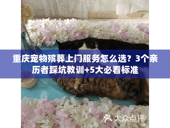 重庆宠物殡葬上门服务怎么选？3个亲历者踩坑教训+5大必看标准