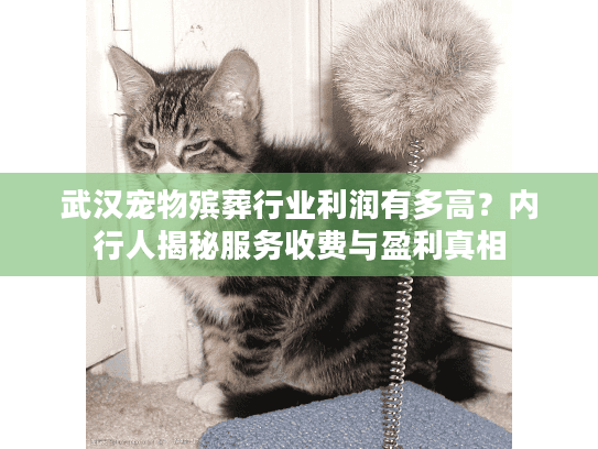 武汉宠物殡葬行业利润有多高？内行人揭秘服务收费与盈利真相