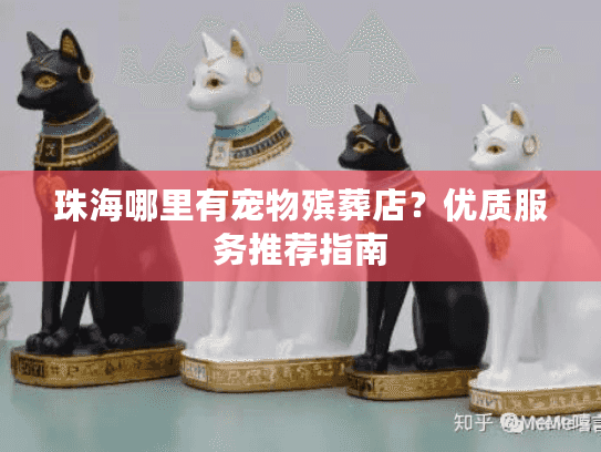 珠海哪里有宠物殡葬店？优质服务推荐指南
