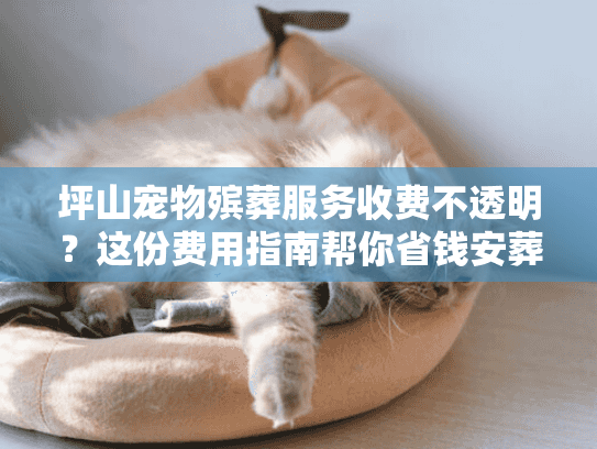 坪山宠物殡葬服务收费不透明？这份费用指南帮你省钱安葬爱宠