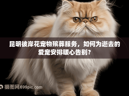 昆明彼岸花宠物殡葬服务，如何为逝去的爱宠安排暖心告别？