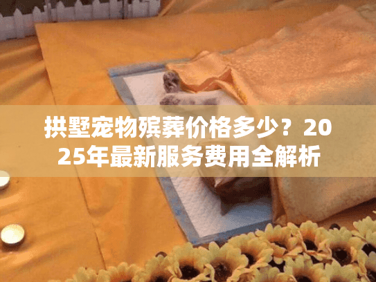 拱墅宠物殡葬价格多少？2025年最新服务费用全解析