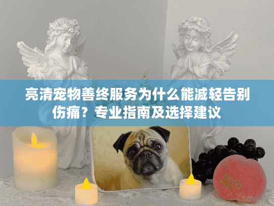 亮清宠物善终服务为什么能减轻告别伤痛？专业指南及选择建议