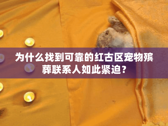 为什么找到可靠的红古区宠物殡葬联系人如此紧迫？