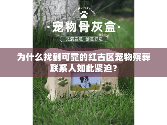 为什么找到可靠的红古区宠物殡葬联系人如此紧迫？