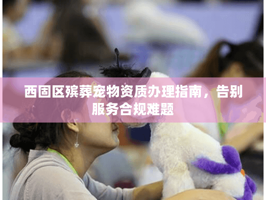 西固区殡葬宠物资质办理指南，告别服务合规难题