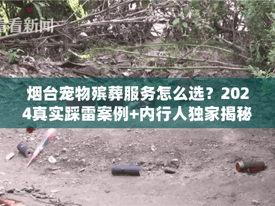 烟台宠物殡葬服务怎么选？2024真实踩雷案例+内行人独家揭秘