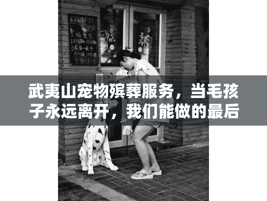 武夷山宠物殡葬服务，当毛孩子永远离开，我们能做的最后一件事？
