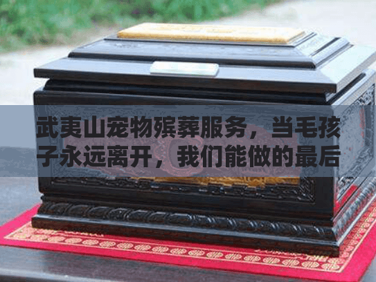 武夷山宠物殡葬服务，当毛孩子永远离开，我们能做的最后一件事？