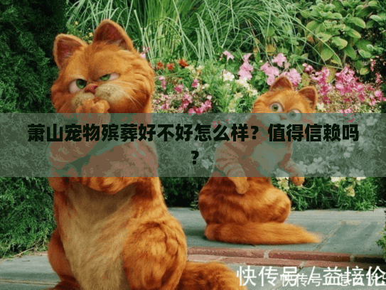 萧山宠物殡葬好不好怎么样？值得信赖吗？