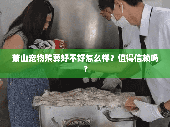 萧山宠物殡葬好不好怎么样？值得信赖吗？