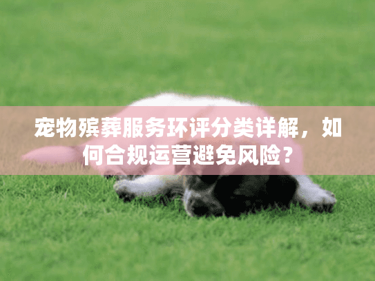 宠物殡葬服务环评分类详解，如何合规运营避免风险？