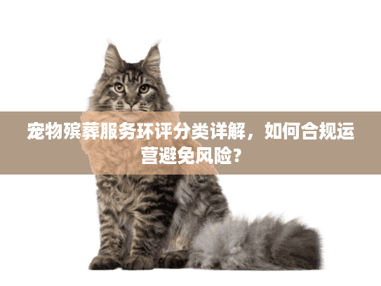 宠物殡葬服务环评分类详解，如何合规运营避免风险？