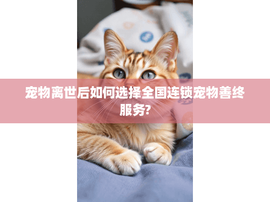 宠物离世后如何选择全国连锁宠物善终服务?