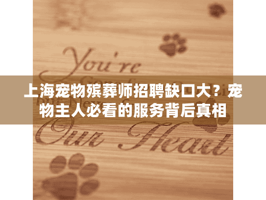 上海宠物殡葬师招聘缺口大？宠物主人必看的服务背后真相