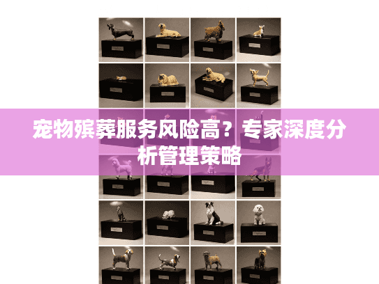 宠物殡葬服务风险高？专家深度分析管理策略