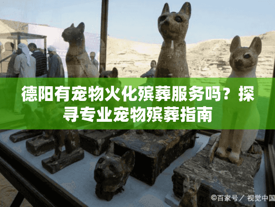 德阳有宠物火化殡葬服务吗？探寻专业宠物殡葬指南