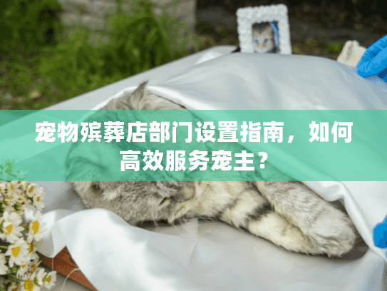 宠物殡葬店部门设置指南，如何高效服务宠主？
