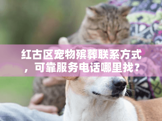 红古区宠物殡葬联系方式，可靠服务电话哪里找？